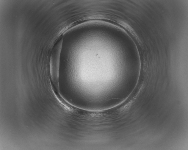 X0000061140849200511241802