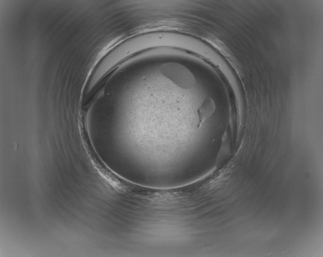 X0000061140850200511241802