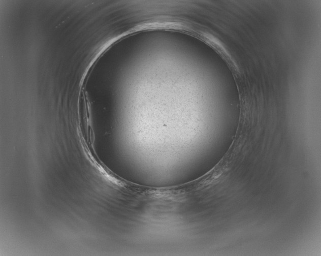 X0000061140852200511241802