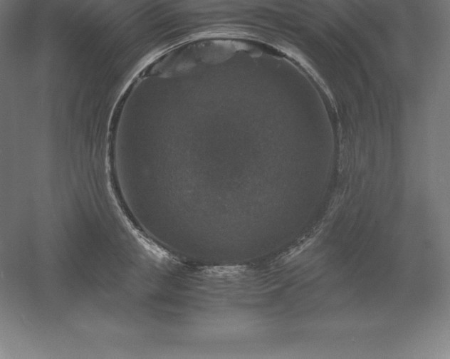 X0000061140853200511241802