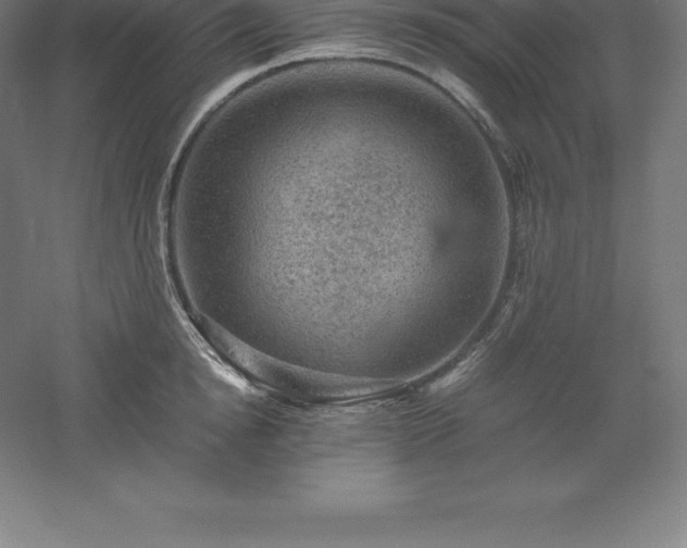 X0000061140854200511241802