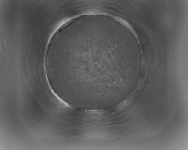 X0000061140855200511241802