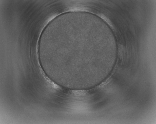 X0000061140856200511241802