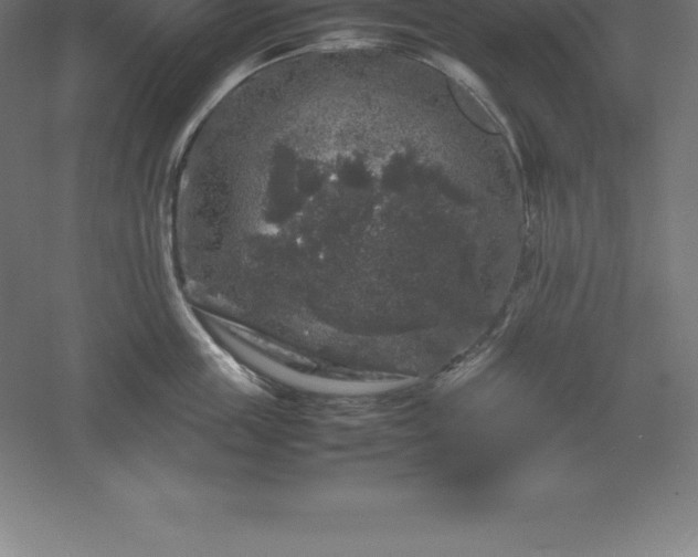 X0000061140859200511241802