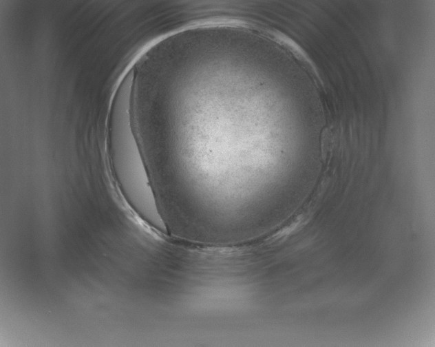 X0000061140860200511241802