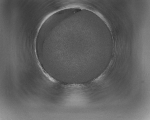 X0000061140862200511241802