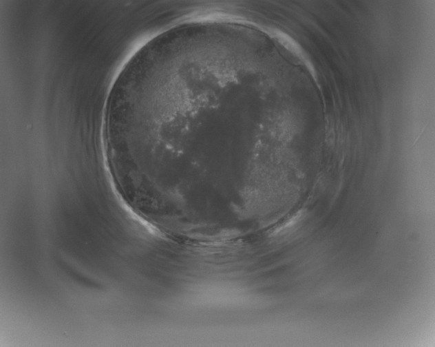 X0000061140863200511241802