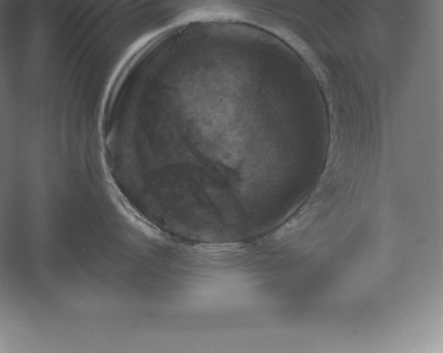 X0000061140864200511241802