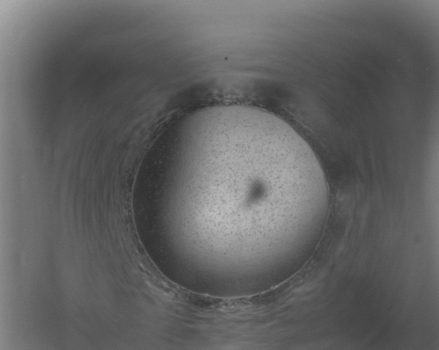 X0000061140865200511241801