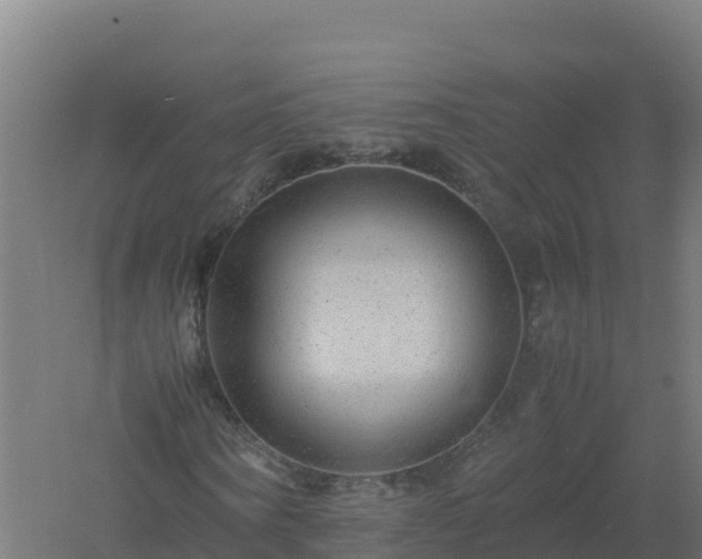 X0000061140866200511241801