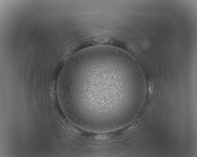 X0000061140867200511241801