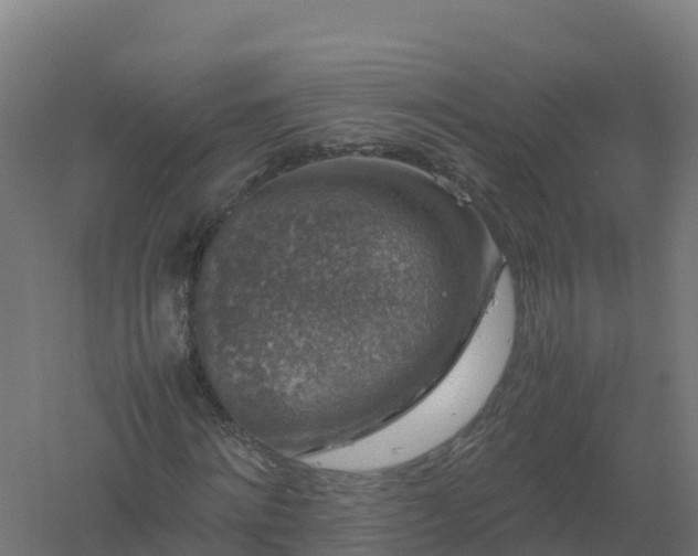 X0000061140868200511241801