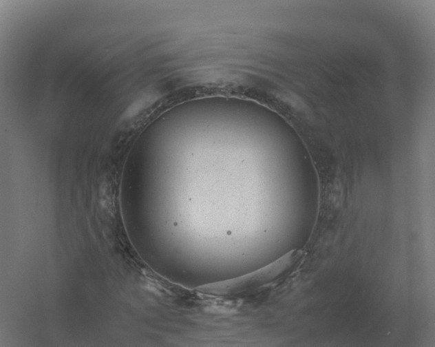 X0000061140869200511241801