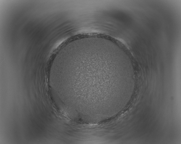 X0000061140871200511241801