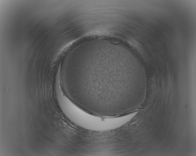 X0000061140872200511241801