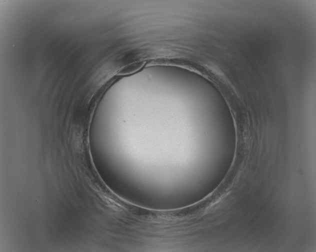 X0000061140873200511241801