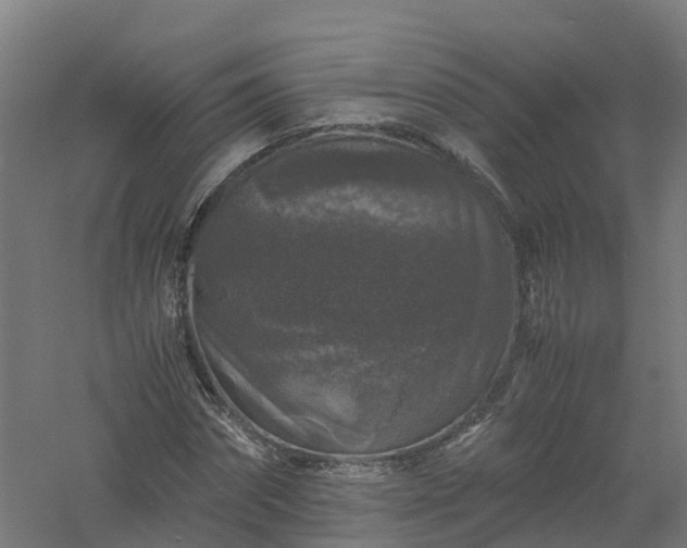 X0000061140874200511241801