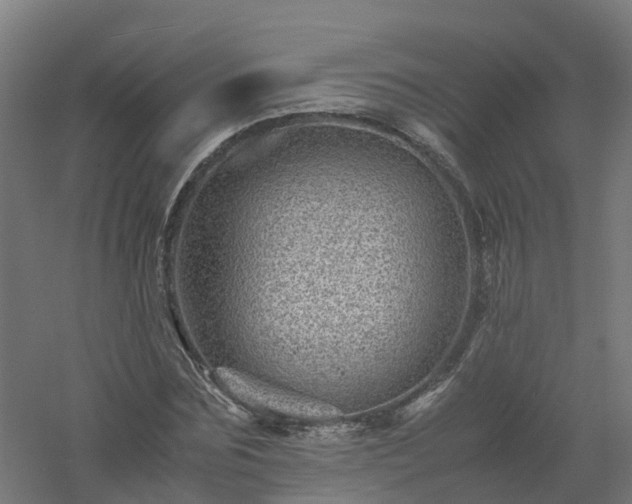 X0000061140875200511241801