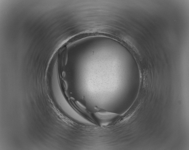 X0000061140876200511241801