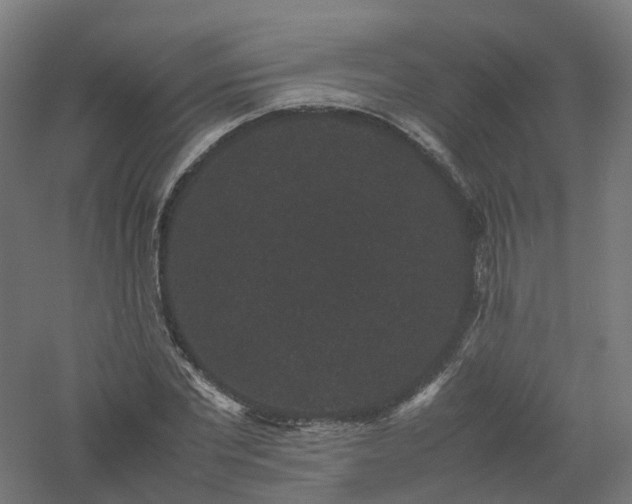 X0000061140877200511241801