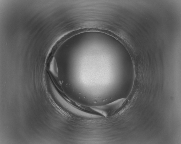 X0000061140880200511241801