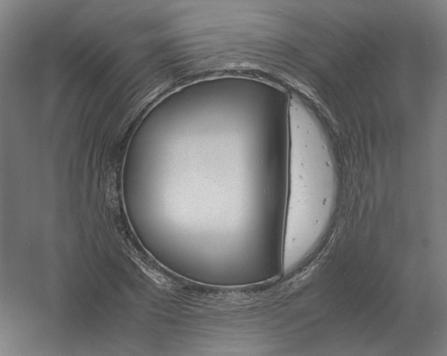 X0000061140881200511241801