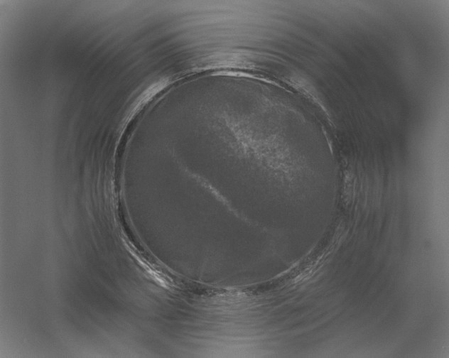 X0000061140882200511241801