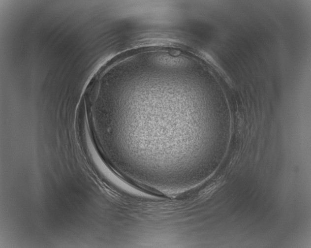 X0000061140883200511241801