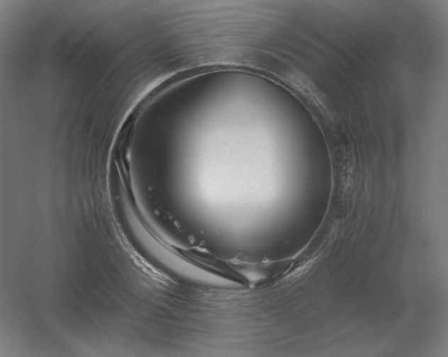 X0000061140884200511241801