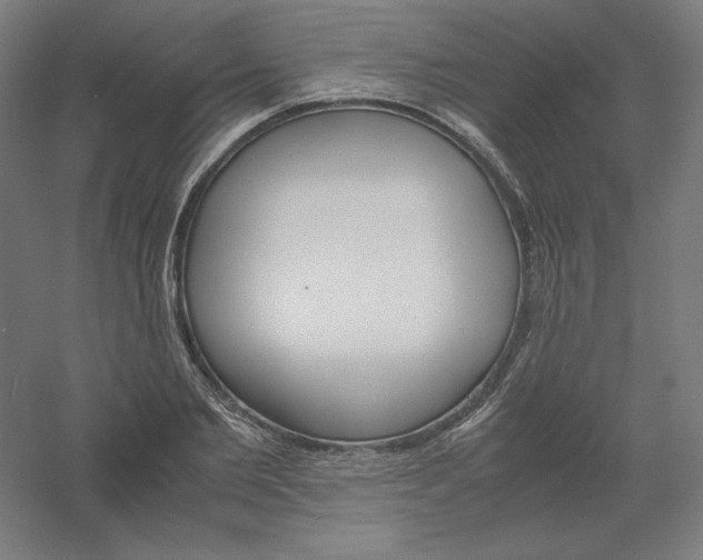 X0000061140885200511241801