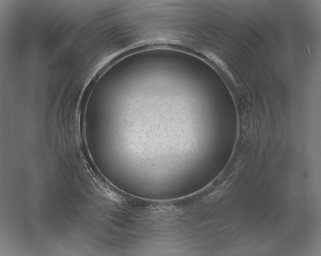 X0000061140886200511241801