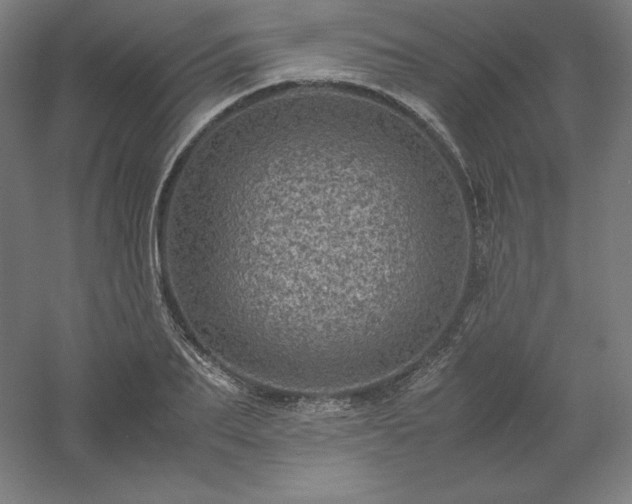 X0000061140887200511241801