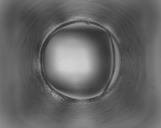 X0000061140888200511241801