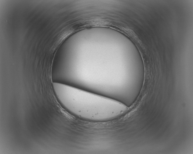 X0000061140889200511241801