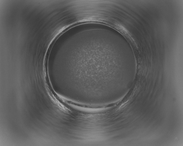 X0000061140892200511241801