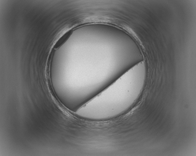 X0000061140893200511241801