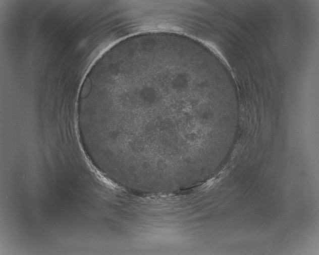 X0000061140895200511241800