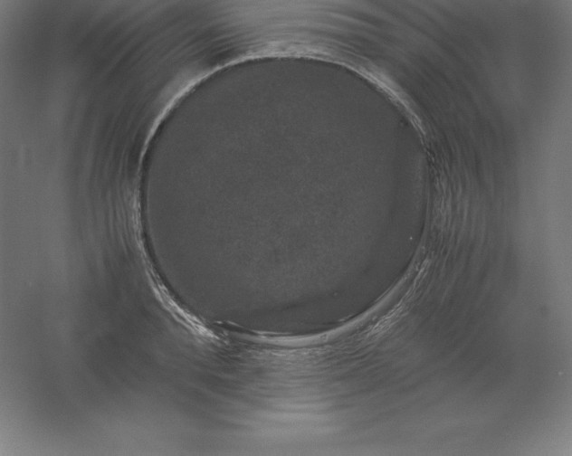 X0000061140896200511241800