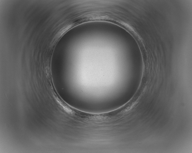 X0000061140897200511241800