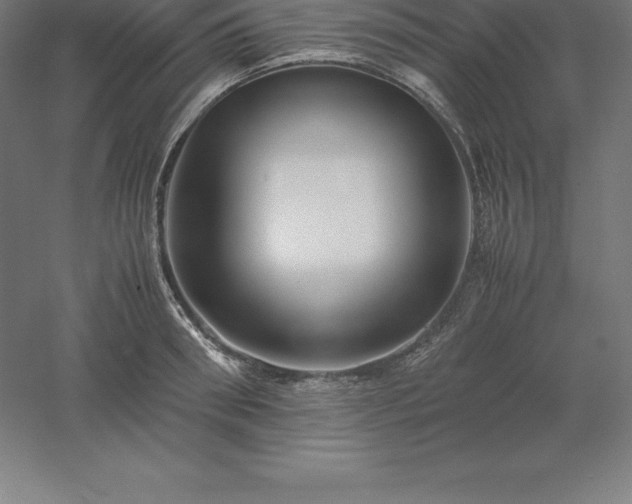 X0000061140898200511241800