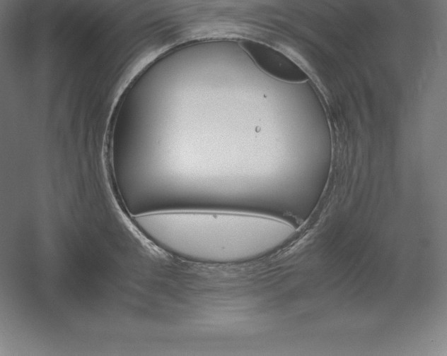 X0000061140901200511241800