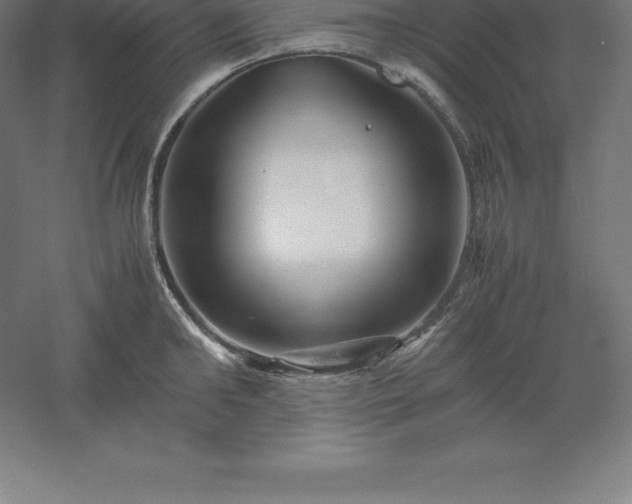 X0000061140902200511241800