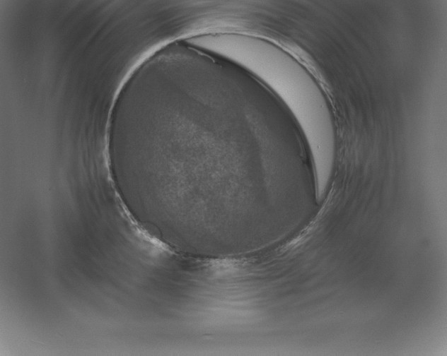 X0000061140904200511241800