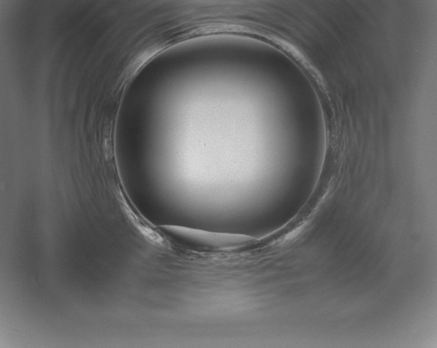 X0000061140905200511241800