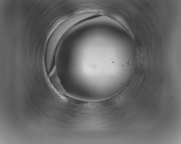 X0000061140906200511241800