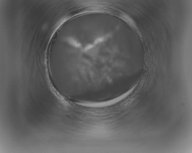 X0000061140907200511241800