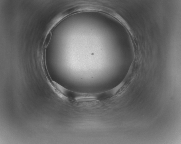 X0000061140909200511241800