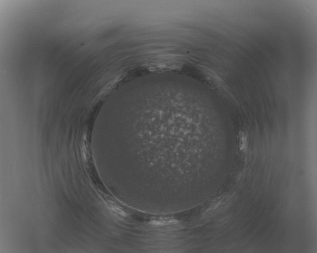 X0000061140915200511241759