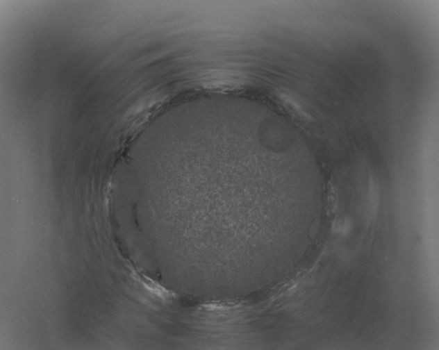 X0000061140917200511241759