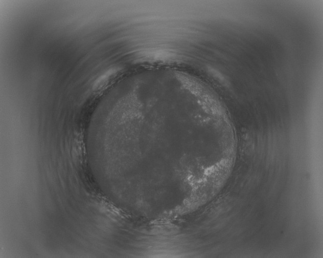 X0000061140918200511241759